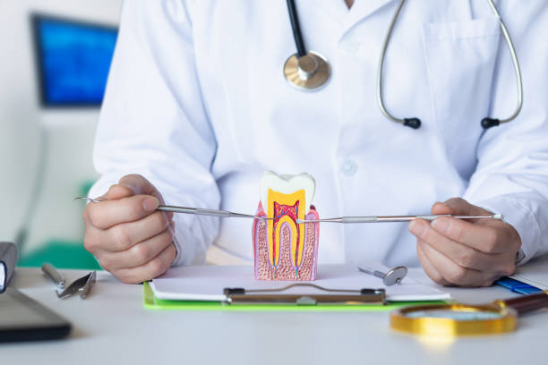 Best Emergency Root Canal Treatment in Lemont, IL